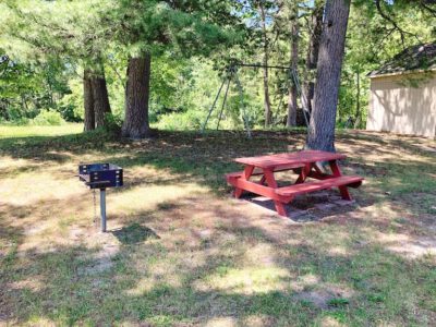 Grill & Picnic Table